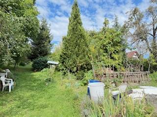 Családi ház kertje a Krivosúd - Bodovka utcában, Krivosúd-Bodovkán, sok zölddel.