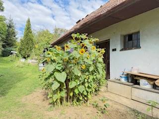 Krivosúd-Bodovkán található családi ház napraforgókkal és gyepesített udvarral körülvéve.