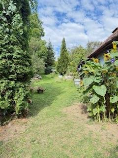 Kert a családi ház mögött Krivosúd-Bodovkán virágzó növényekkel és zölddel.