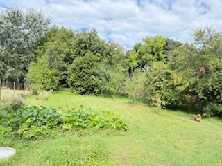 A Krivosúd-Bodovkai családi ház kertje, zölddel és fákkal körülvéve.