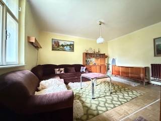 Nappali egy családi házban kanapéval és szőnyeggel a fa dekorációjú padlón.