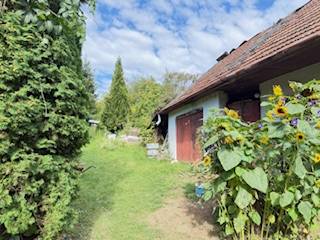 Családi ház Krivosúd-Bodovkán piros ajtókkal és napraforgókkal a kertben.