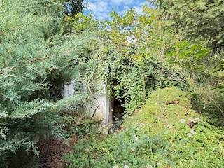 Elhagyatott családi ház benőtt bejárata Krivosúd-Bodovka községben, Krivosúd - Bodovka.