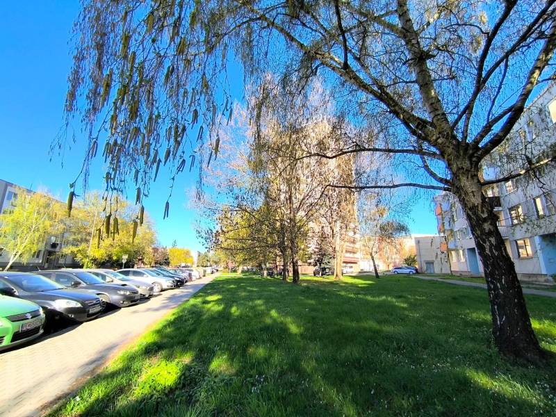 Fák a Veľká Okružná utcán Partizánskéban egy 3 szobás lakás előtt, autók az út mentén parkolva.