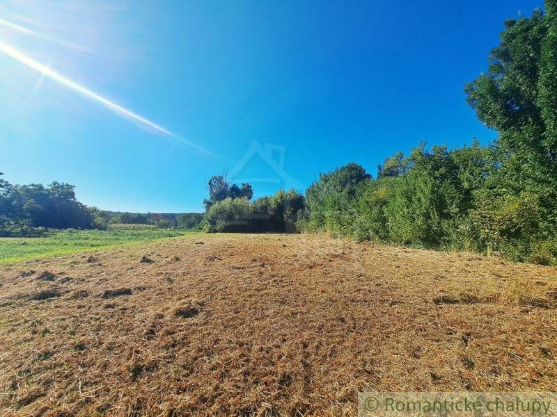 Zöld terület és rét lakóövezetben Hosťovában a kék ég alatt.