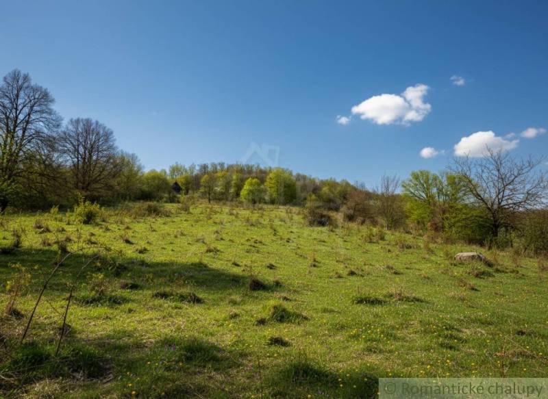 Zöld lejtő elszórt fákkal és kék ég Krupina környékén, ideális lakóterületnek.