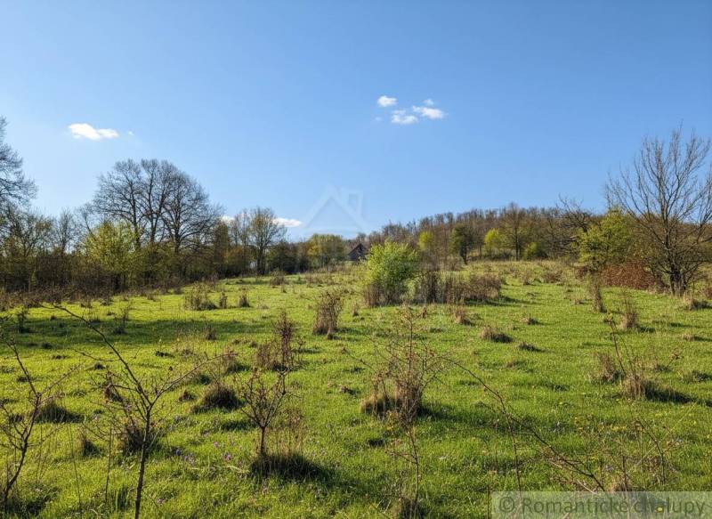 Friss rét ritka fákkal lakóterületeken Krupinában.