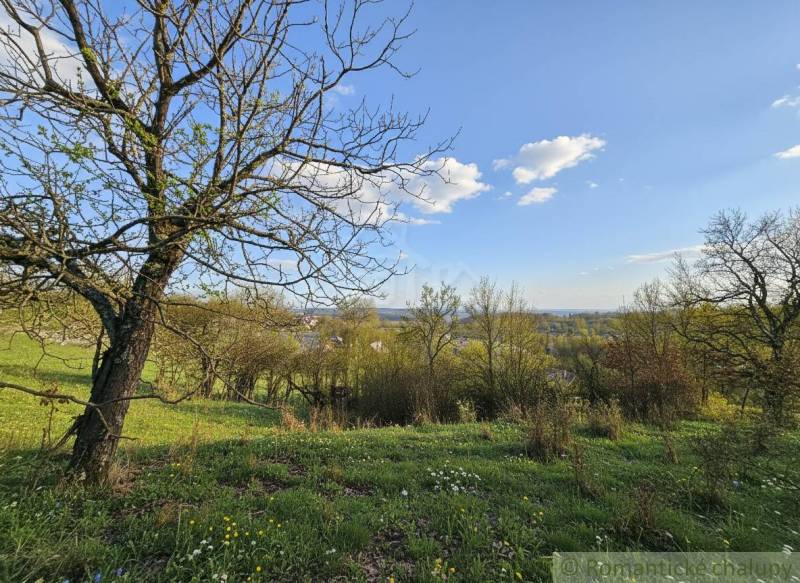 Kilátás a virágzó rétekre és fákra Krupina felett, Lakóövezeti telkek.