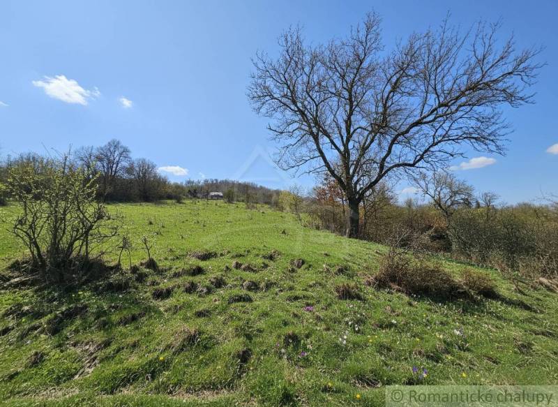 Zöldterület virágokkal és fákkal a Krupina környéki lakóterületeken.