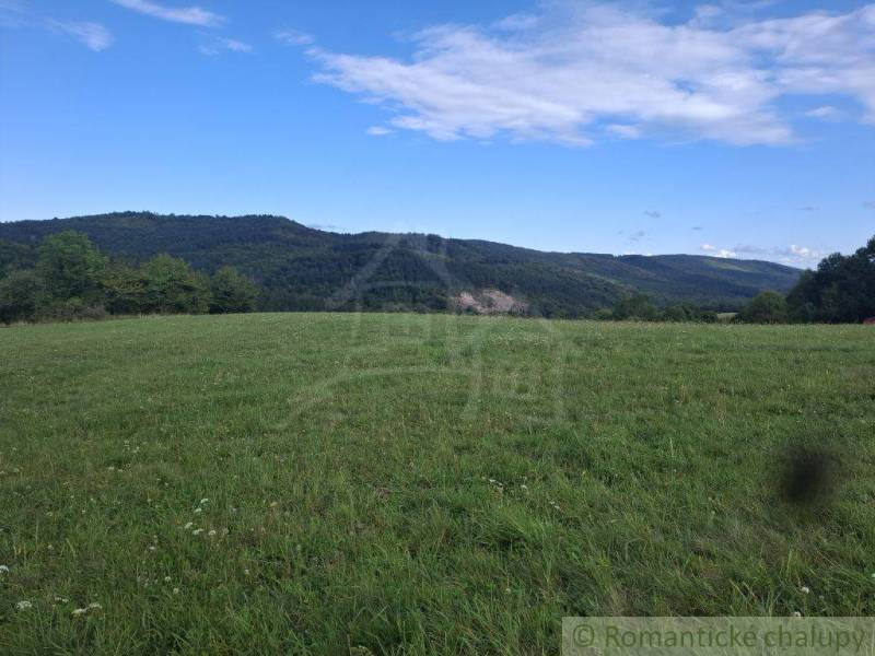 Gyönyörű zöld lakóterületek Felső-Tiszavölgyben, erdő panorámával és kék égbolttal.