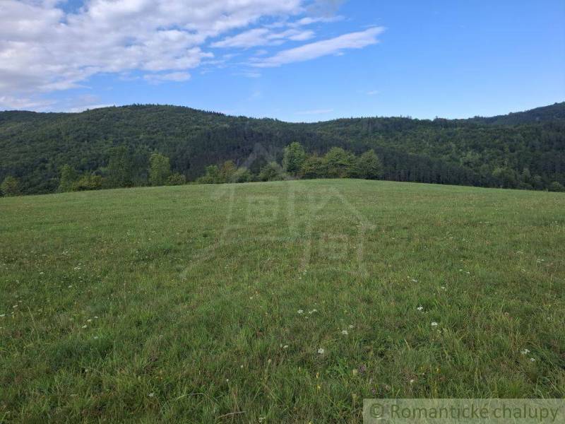 Zöld rét erdőkkel körülvéve Felsőtiszonynál, ideális lakóterületnek.