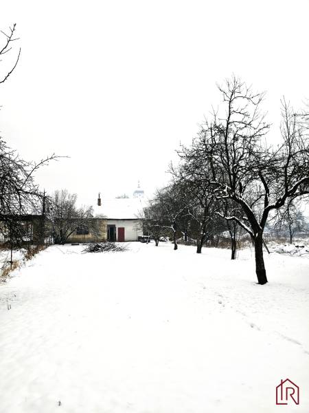 Egy családi ház havas udvara Kameňanyban gyümölcsfákkal.