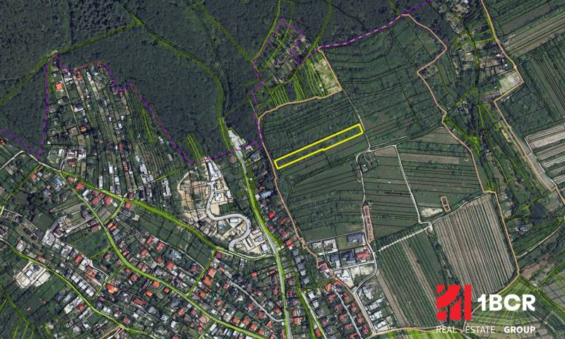 Szőlőültetvények légi felvétele Pozsony-Rača területén, konkrétan a Fongová utca környékén.