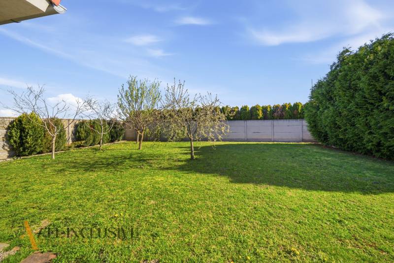 Családi ház kertje Kútnikokban gyepes és gyümölcsfákkal.