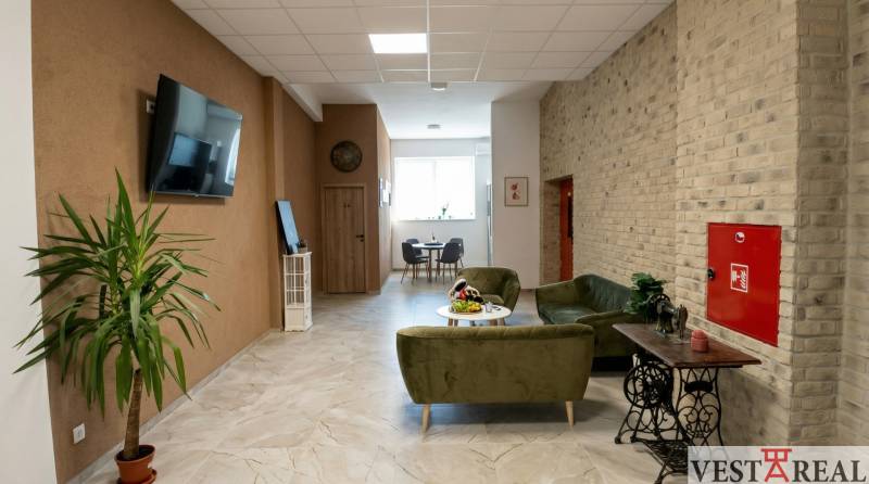 Irodák kényelmes ülőhellyel, növénnyel és televízióval, fa dekorációjú padlóval.