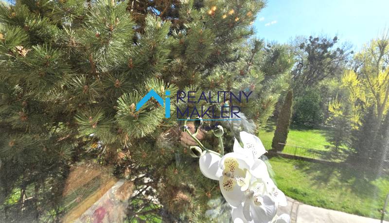 Kilátás egy háromszobás lakás ablakából, kilátással a zöld kertre és az orchideára.