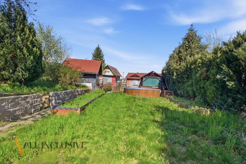 Királyfa melletti kertek kis házzal, sűrű növényzettel és gyepes területtel a kék ég alatt.