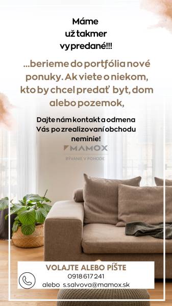 Világos nappali kényelmes kanapéval és növénnyel, 2 szobás lakás fa dekor padlóval.