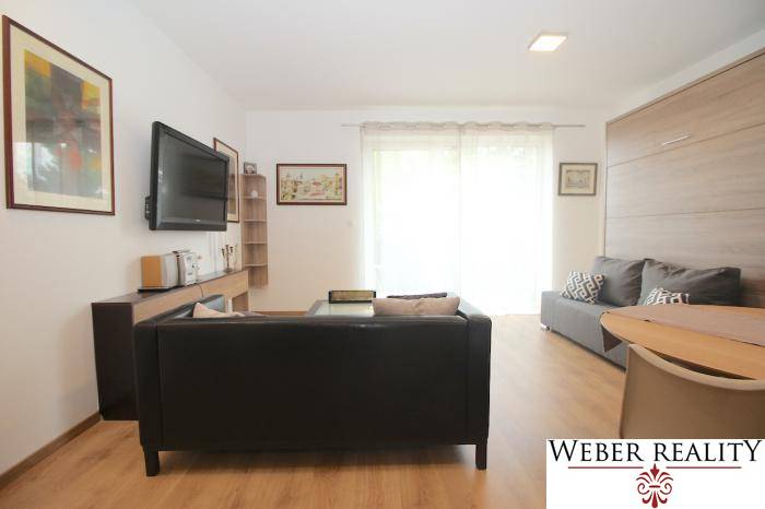 1 szobás lakás kanapéval, TV-vel, fa dekoros padlóval és nagy ablakokkal.