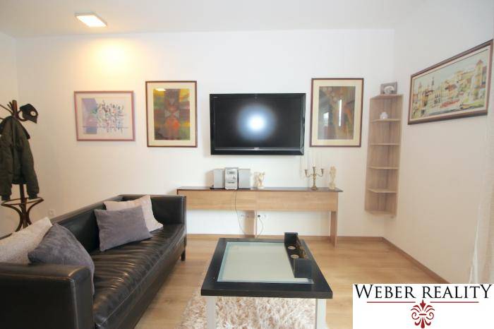 Nappali egy egyszobás lakásban televízióval, bőrkanapéval és fa dekorációjú padlóval.