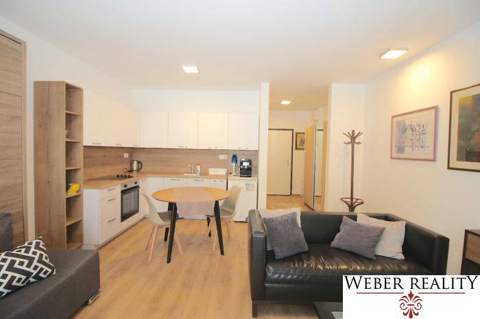 1 szobás lakás konyhával, fa hatású padló, kanapé és étkezőasztal.