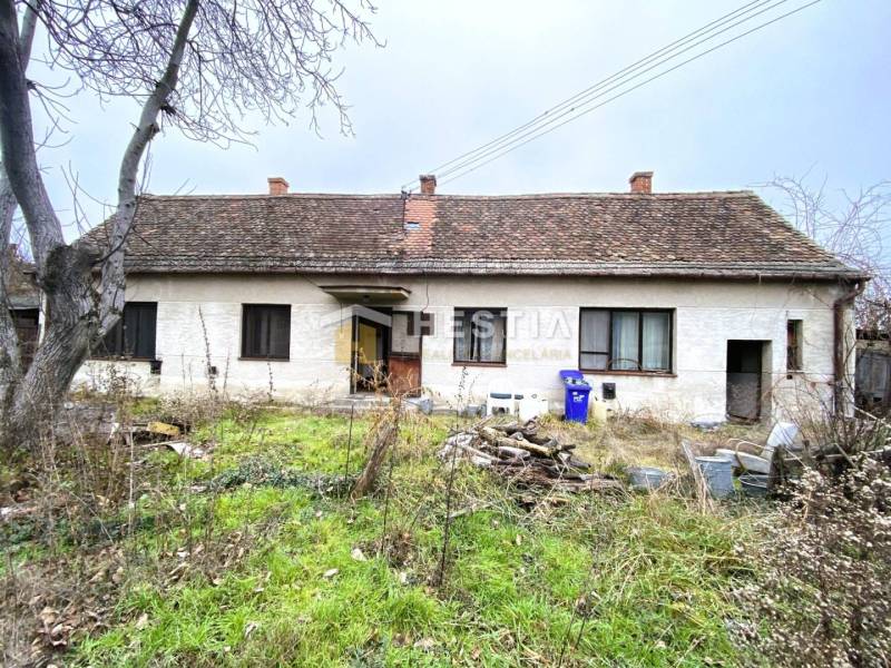 Egy régi családi ház felújításra vár, a kertben vad növényzet és rendetlenség van.