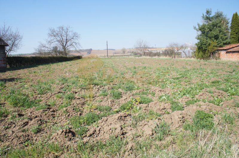 Koniarovce (2).JPG