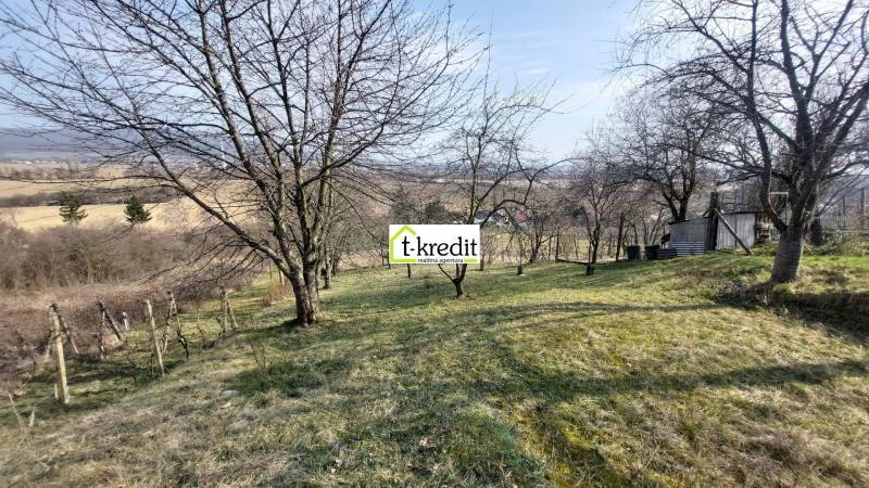 Szőlőskert Aranyosmaróton kilátással, fákkal és füves területtel.