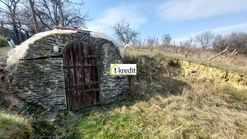 Kőbejárat a pincéhez, amelyet természet vesz körül a szőlőskertekben, közel Aranyosmaróthoz.