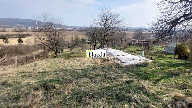 Kiterjedt szőlőültetvények Aranyosmarót közelében, fákkal és kilátással a mezőkre és hegyekre.