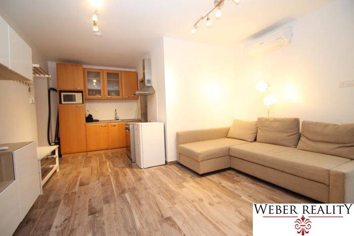 Nappali egy szobás lakásban konyhasarokkal és fa mintázatú padlóval.