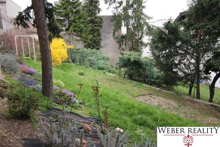 Kert gyepesítéssel, fákkal és bokrokkal Pozsonyban - Óvárosban, a Lichardova utcában.