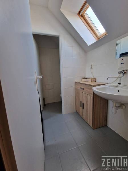 Fürdőszoba tetőablakkal, világos csempékkel és fa dekorációjú bútorokkal az üzlethelyiségben.