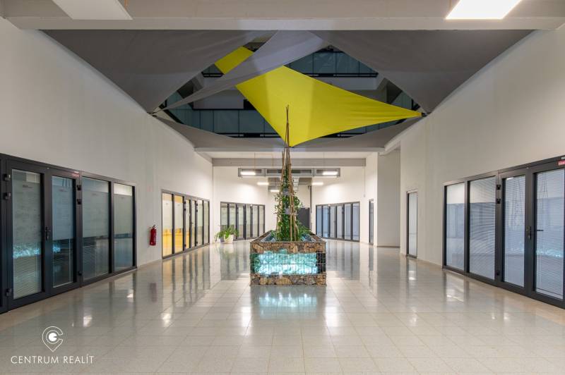 Irodai helyiségek növénnyel, üvegajtókkal és színes tetődíszítéssel.