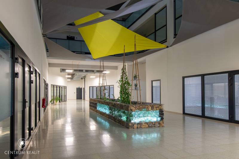 Folyosó növényekkel és geometrikus függönyökkel egy kétszobás lakásban.