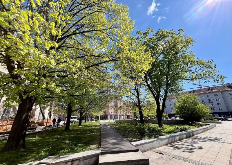 Zöldterület és fák a pozsonyi Ružinovban található Dulovo téren napsütéses időben.