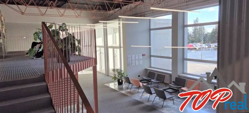 Belső tér kanapékkal, lépcsővel és nagy ablakokkal. Légies tér növényekkel.