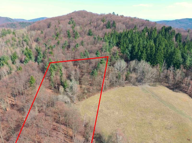 Lysá pod Makytou mezőgazdasági és erdőterületeket kínál, amelyeket piros vonal határol.