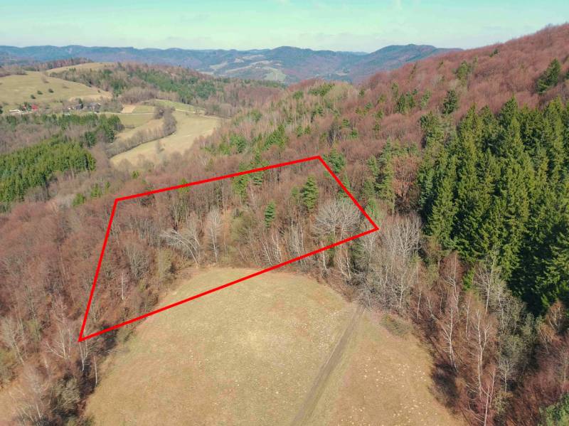 Kilátás az erdős területekre Lysá pod Makytou-ban, piros téglalappal határolva.