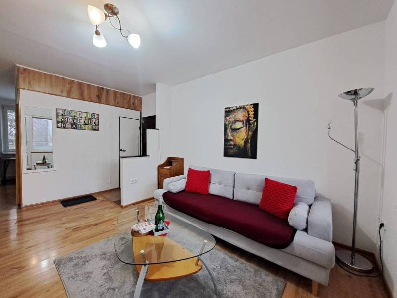 Nappali egy kétszobás lakásban kanapéval, fa dekorációval és művészi képpel.