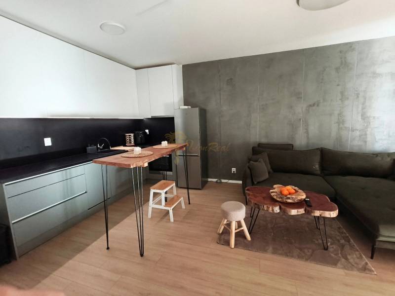 2 szobás lakás modern konyhával, kanapéval és fa dekorációjú padlóval.