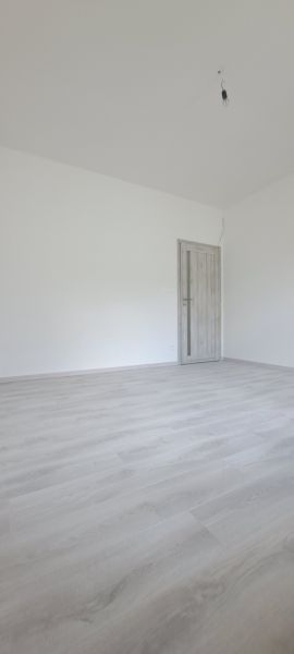 Üres szoba fa mintázatú padlóval és zárt ajtókkal egy családi házban.