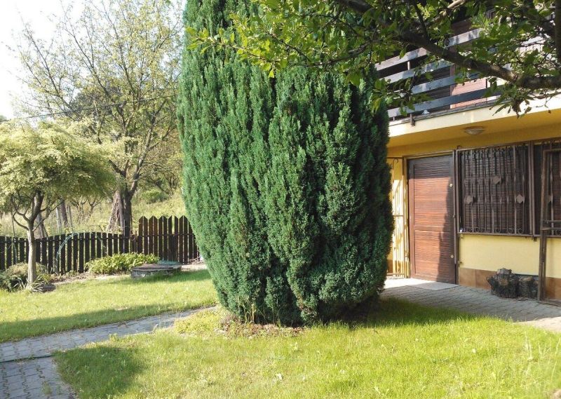 A pozsonyi - Károlyfalui ház előtt egy rendezett kert van magas bokorral.