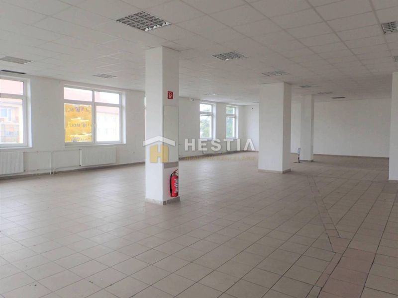 Svetlý belső tér fehér falakkal, ablakokkal és csempézett padlóval. Üzlethelyiség.