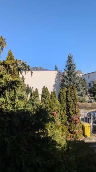 PXL_20260305_100214159.jpg