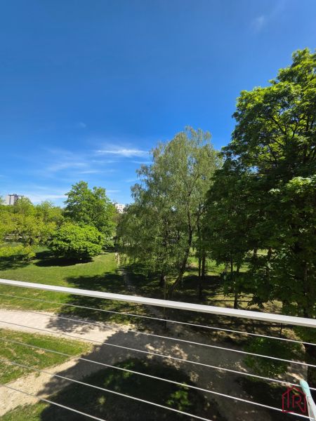 Kilátás egy parkra fákkal körülvéve a Lesnícka utcai 3 szobás lakásból Kassán.