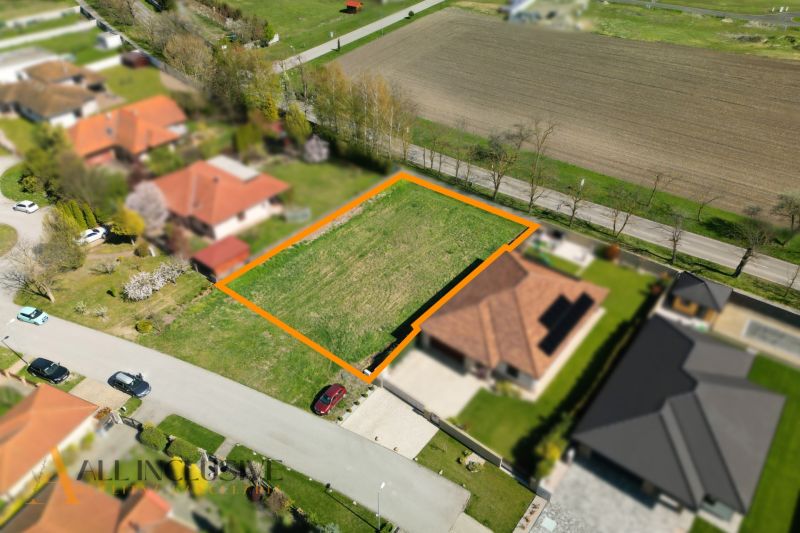 DJI_0880.jpg