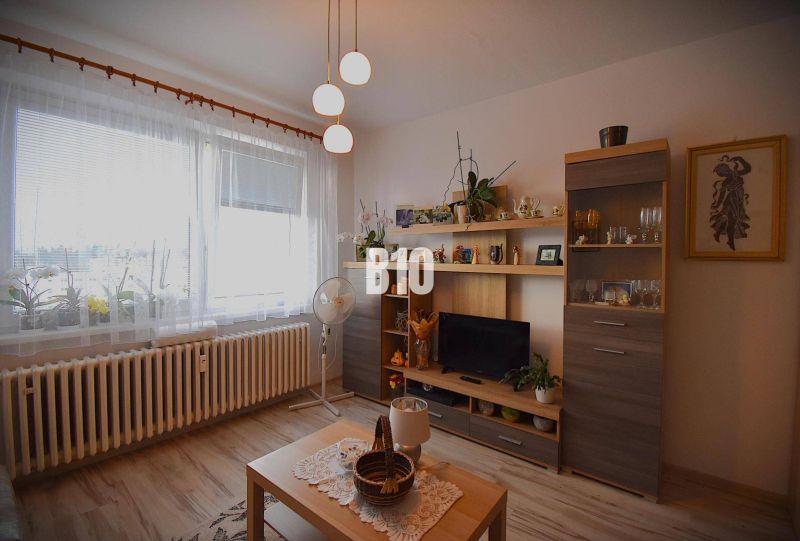 Nappali bútorokkal és dekorációkkal a nyaraló apartmanban, fa mintás padlóval.