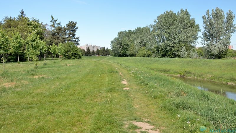 Gyep és fasor a folyó mellett a J. M. Hurban rakparton, Michalovcén.
