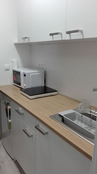 Konyhapult garzonlakásban mikrohullámú sütővel, főzőlappal és fa dekorációval.